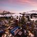 屋外の景色