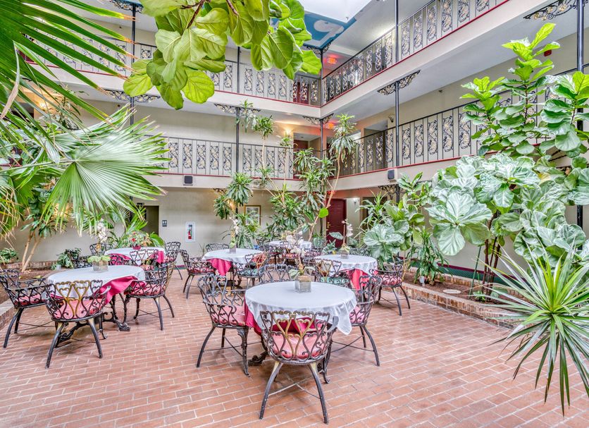 レストラン 写真