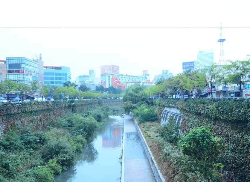 屋外の景色 写真