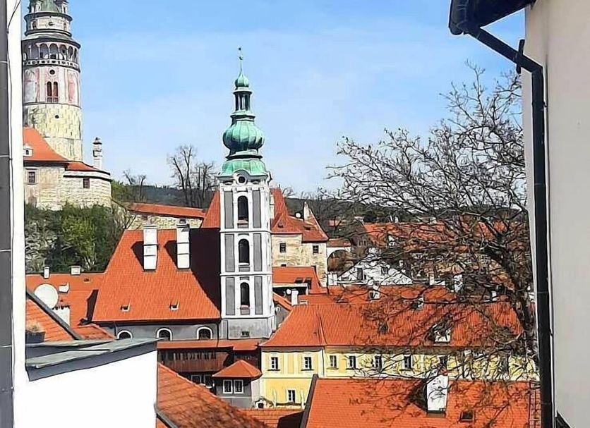 屋外の景色 写真