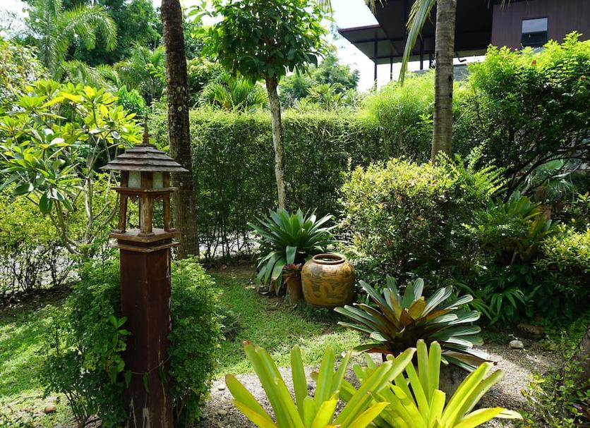 屋外の景色 写真