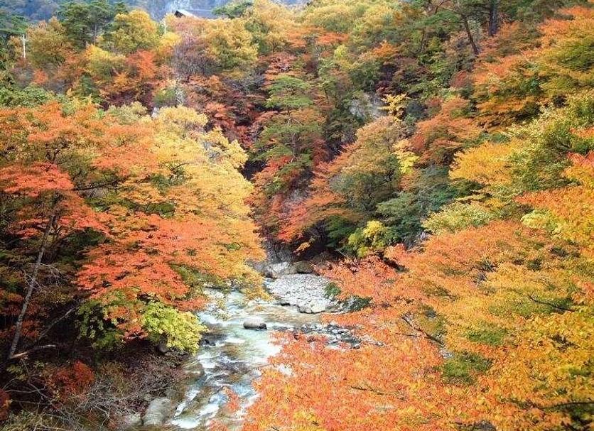 屋外の景色 写真