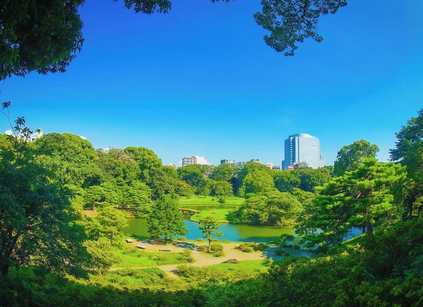 屋外の景色 写真