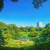 屋外の景色