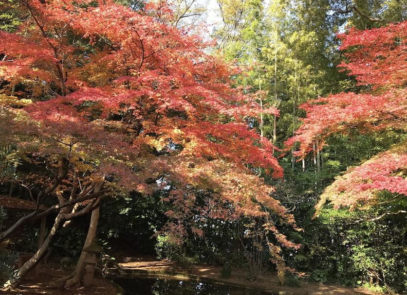 屋外の景色 写真