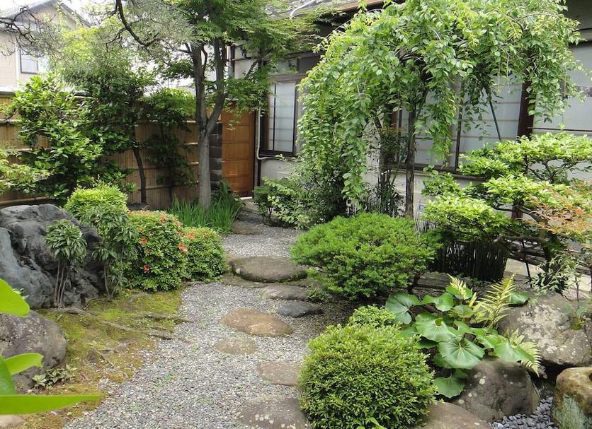 屋外の景色 写真
