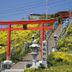 屋外の景色