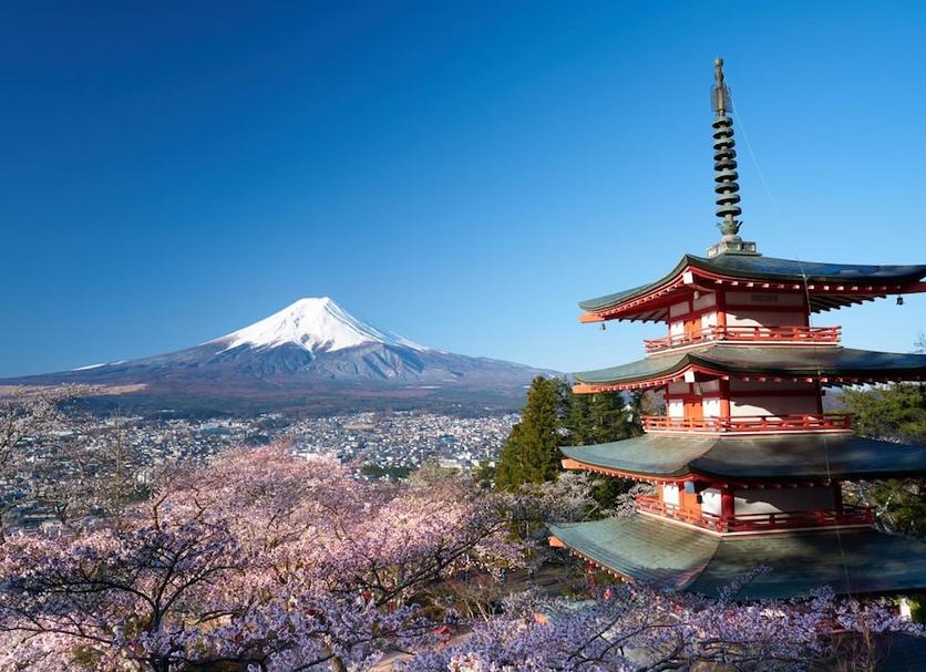 屋外の景色 写真