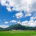 屋外の景色