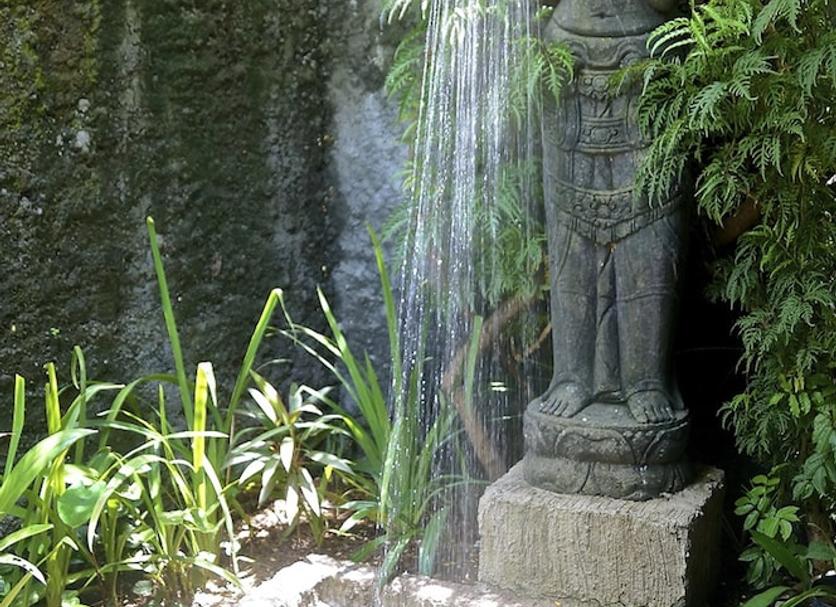屋外の景色 写真