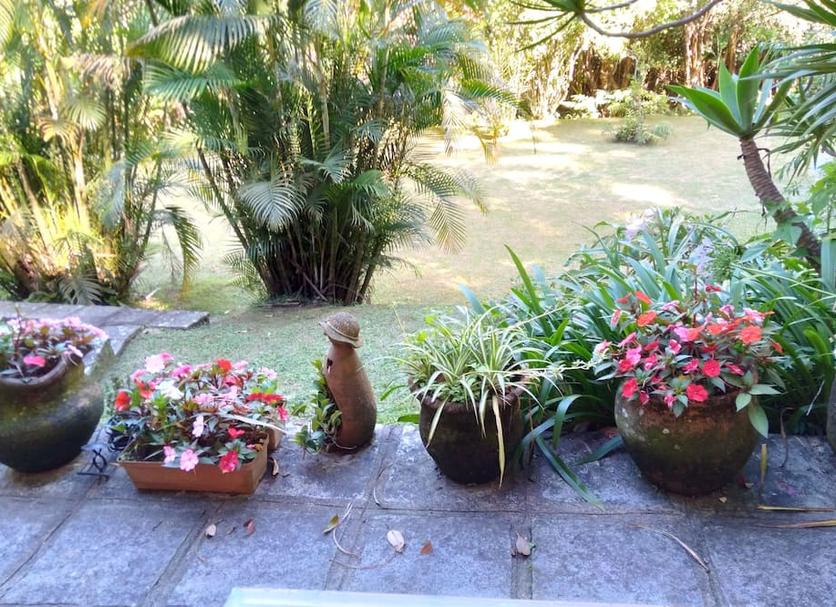 屋外の景色 写真