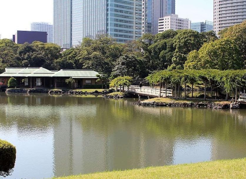 屋外の景色 写真