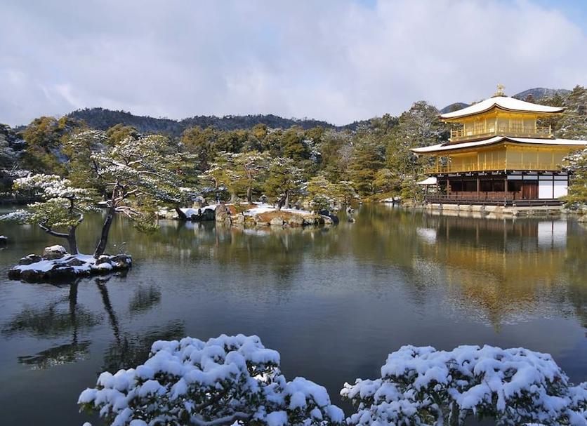 屋外の景色 写真