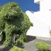 屋外の景色
