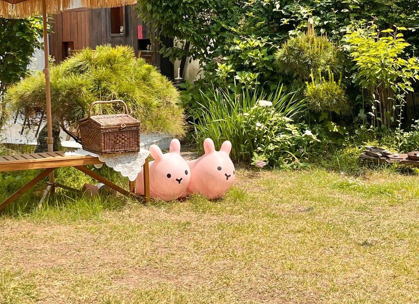 屋外の景色 写真