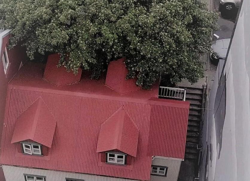 屋外の景色 写真