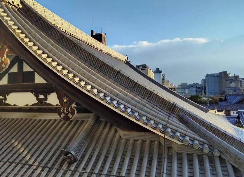 屋外の景色 写真
