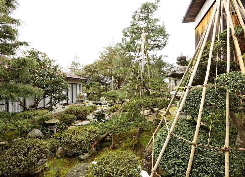 屋外の景色 写真