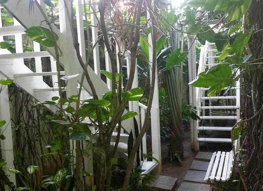 屋外の景色 写真