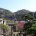 屋外の景色