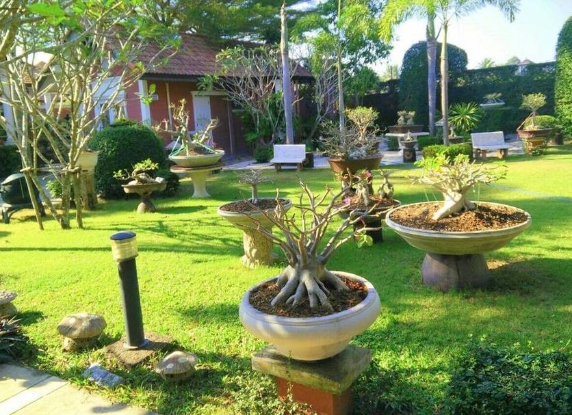 屋外の景色 写真
