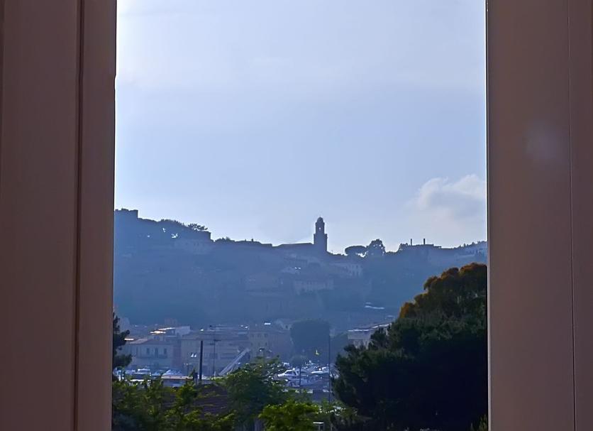 屋外の景色 写真