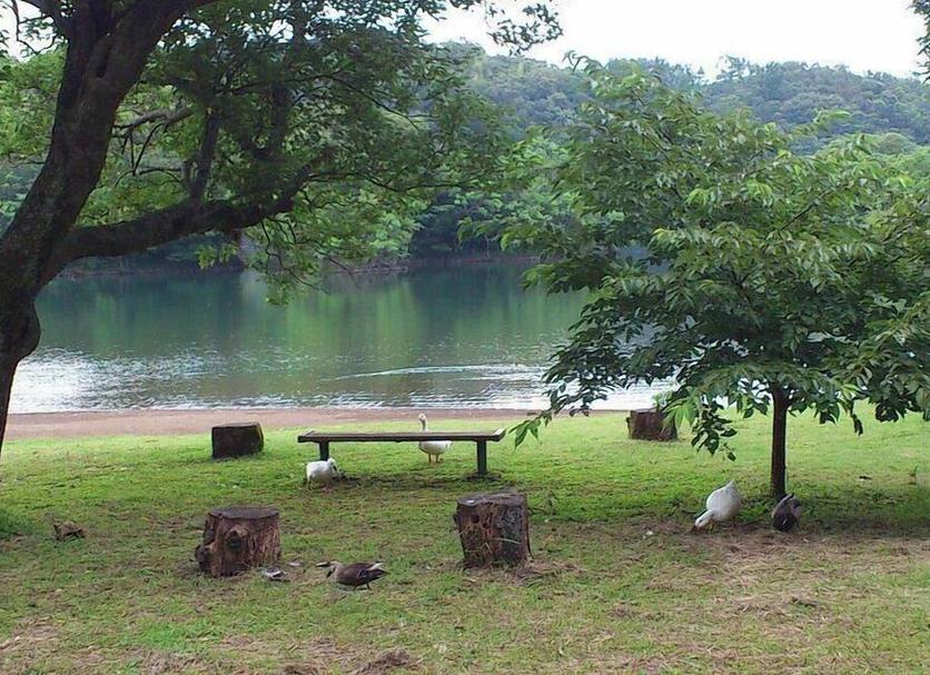 屋外の景色 写真