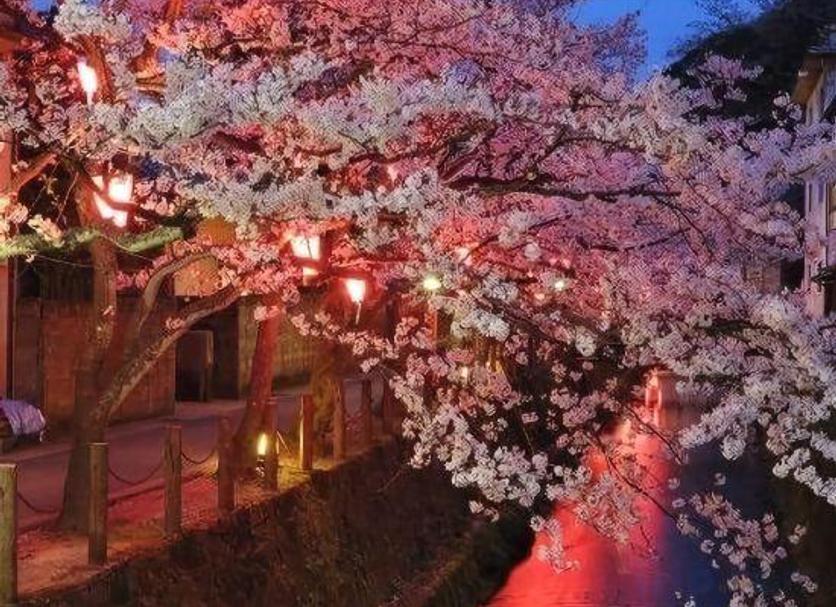 屋外の景色 写真