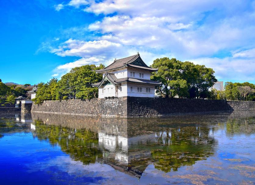 屋外の景色 写真