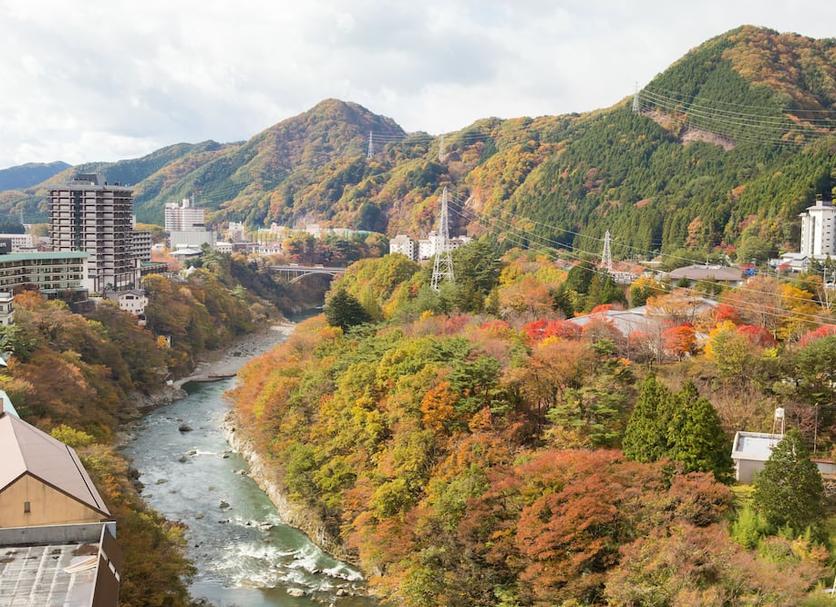 屋外の景色 写真