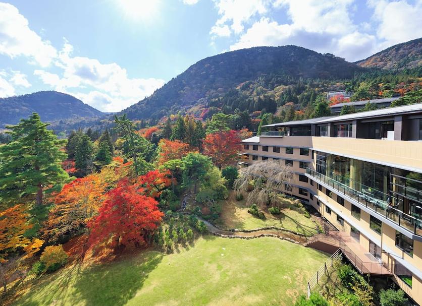屋外の景色 写真