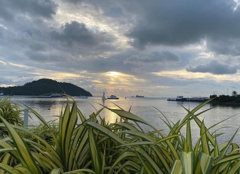 屋外の景色 写真