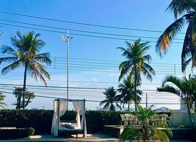 屋外の景色 写真