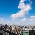 屋外の景色
