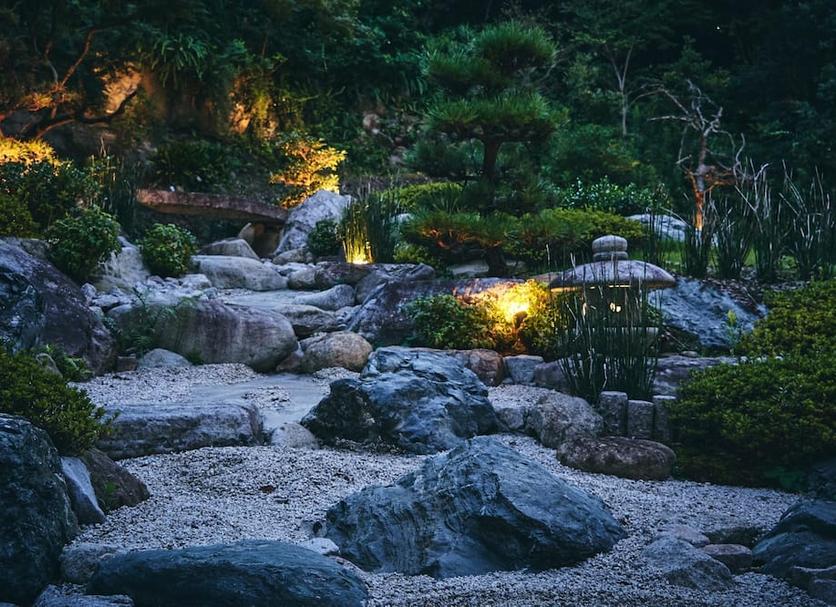 屋外の景色 写真
