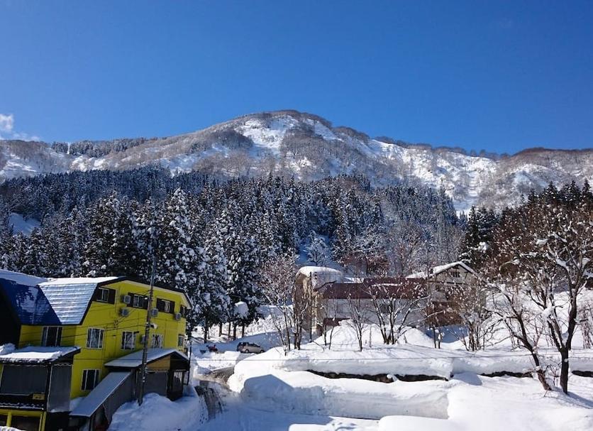 屋外の景色 写真