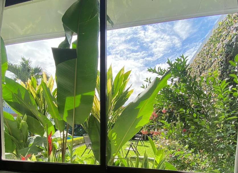 屋外の景色 写真