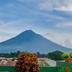 屋外の景色