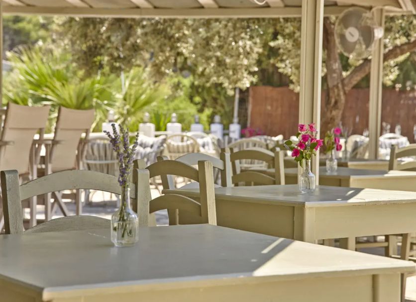 レストラン 写真