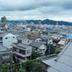 屋外の景色