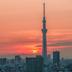 屋外の景色