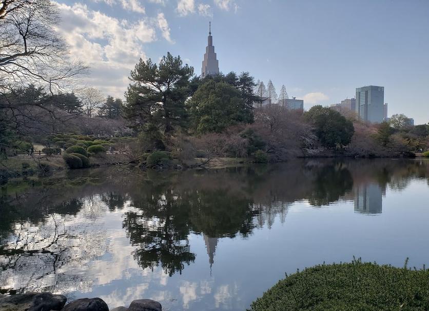 屋外の景色 写真