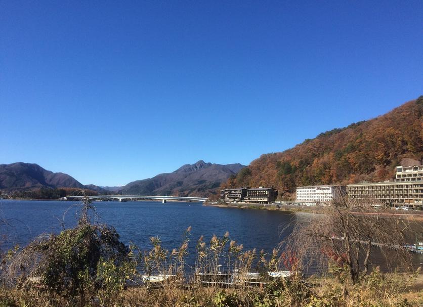 屋外の景色 写真