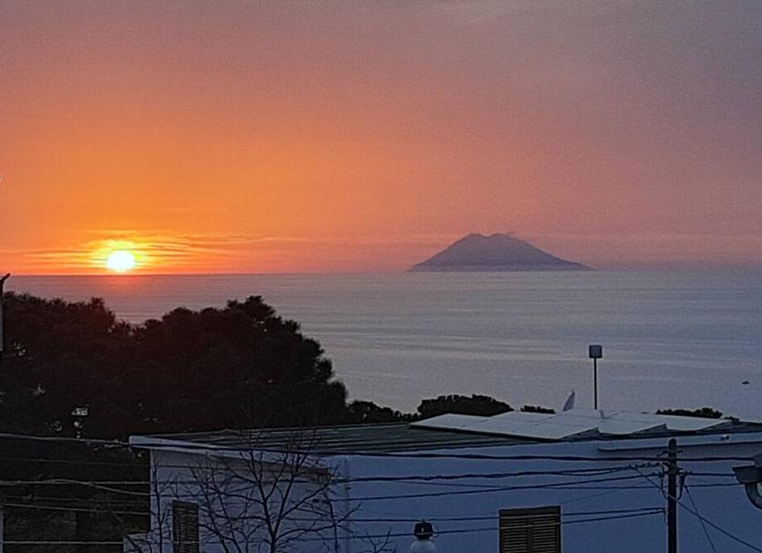 屋外の景色 写真