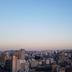 屋外の景色