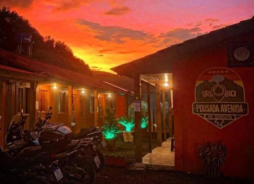 屋外の景色 写真