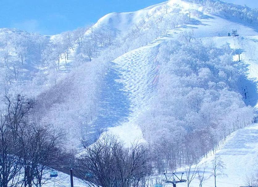 屋外の景色 写真