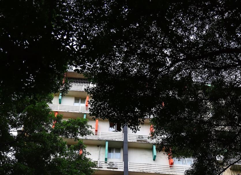 屋外の景色 写真