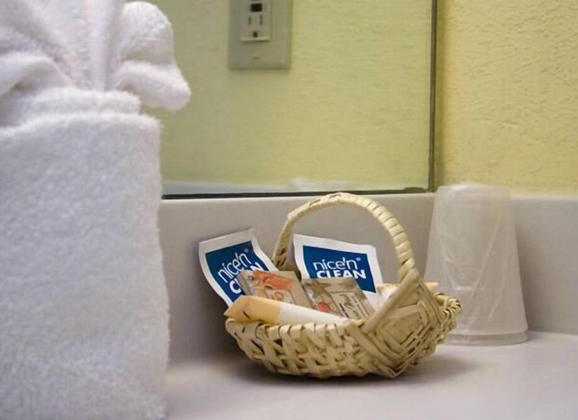 客室の設備 写真