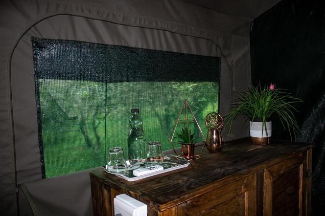 ホームベース クルーガー